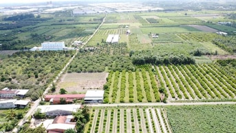 ĐẤT XÂY TRỌ NGAY KCN PHƯỚC ĐÔNG. 10x70 120m2 thổ. 2 tỷ 