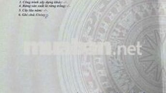 Bán đất thổ cư ,mặt tiền 4.5m – Sổ đỏ chính chủ tại Ân Thi, Hưng Yên