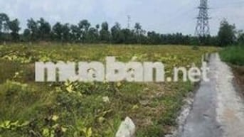 Bán Lô Đất Thổ Cư xã Phước Trung huyện Gò Công Đông Tỉnh Tiền Giang