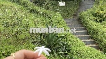 Cần bán đất tặng villas Tại Yên Bài, Ba Vì, Hà Nội