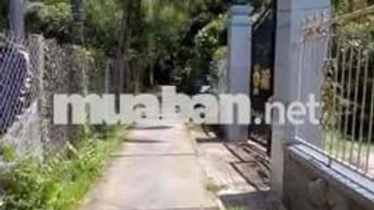 Bán đất tại Ấp Bình Hoà A Xã Bình Trưng Châu Thành Tiền Giang