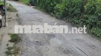 Bán Lô Đất Thổ Cư Xã Tăng Hoà huyện Gò Công Đông Tỉnh Tiền Giang