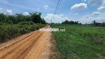 Đất ngay ngã tư Sư 5 diện tích 4200m có 1200m2 đất ở sát Quốc lộ 22B