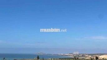 bán đất view biển hoà thắng mũi né giá chỉ 220k/1m2. sổ đỏ có sẵn