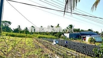 💥 GẤP GẤP - BÁN ĐẤT XÃ LONG THỚI - GẦN CHỢ CÁI GÀ