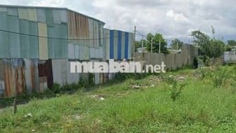 Mua không nhìn giá lô đất MT đ Cây Bàng, Tân Kiên,Bình Chánh chỉ 685tr