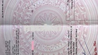 Đất thổ cư hướng Đông tứ trạch, đón nắng sáng sớm, thích hợp ở và kd