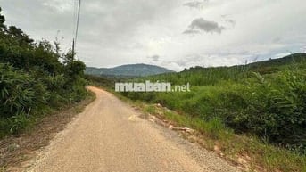 Bán đất Nghĩ Dưỡng Mặt tiền đường nhựa 8m Chỉ 280tr/Nguyên Lô