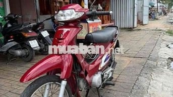 Alpha lóc trắng mẫu nhỏ
