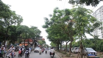 Bán đất lô góc Hoàng Mai 60m², mt 4m ô tô vào nhà, pháp lý chuẩn