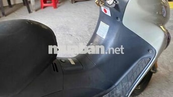 ban xe moi dọn