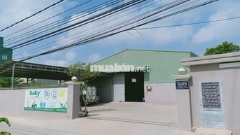 Chính chủ cho thuê Kho, xưởng 1850m2 ở An Phú Đông, Q12 cách QL1A 150m