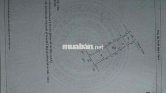 BÁN ĐẤT TRẦN BÌNH, MAI DỊCH, CẦU GIẤY, VÀI BƯỚC RA Ô TÔ ĐỖ NGÀY ĐÊM