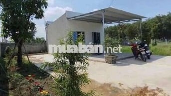nhà vườn chủ ngộp cần ra nhanh ngay tại Bình Dương