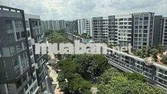 Chính chủ bán căn Diamond Alnata 6tỷ bao pql 1 năm ra sổ -Celadon city
