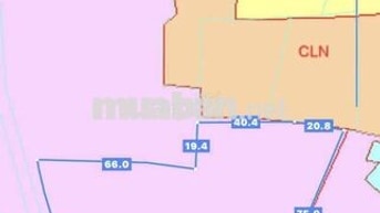 81m mặt tiền đường nhựa tân lâm xuyên mộc