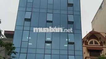 cho thuê toà nhà văn phòng phố trần quốc hoàn