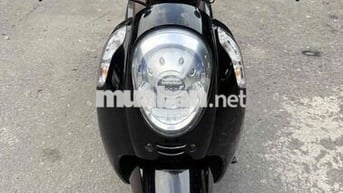 scoopy 1 BS59 BSTP - Máy zin dòng nhập thái