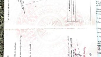🏡 Bán nhanh 7 mẫu đất trồng cao su – xã Tân Phước, Đồng Phú 55 tỷ
