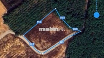 Cần bán lô đất SKC : 6.614m² tại Vĩnh Tân 
Tân Uyên BD  : 6.614m²