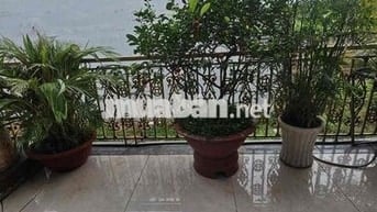 BÁN CĂN BIỆT THỰ TÂM HUYẾT SÀI GÒN