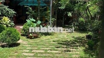 🏠 Nhà vườn góc 2 Mặt Tiền, gần quán ăn cô chủ nhỏ,dtsd 250m2,TX2 🏠