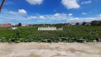 🏡 Đất nền sổ hồng riêng – Đường Tập Đoàn 2 – Giá chỉ 1,4 tỷ