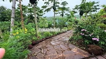 Bán nhanh: 850 triệu, trọn sổ vị trí nằm gần Hồ Trị An