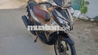 Cọp Nouvo 4