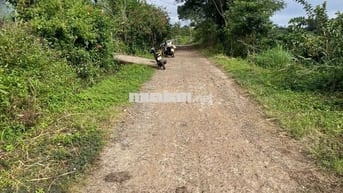 Đất nông nghiệp mặt tiền bê tông nhựa thị xã Buôn Hồ, Daklak