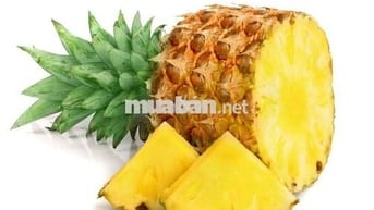 CHO THUÊ NHÀ NGUYÊN CĂN – NGUYỄN CẢNH CHÂN, QUẬN 1