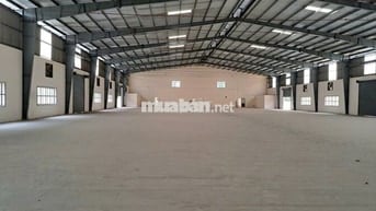 Cho thuê kho 4.000m² có văn phòng, Cụm CN Tân An, Long An ,giá 2.5 usd