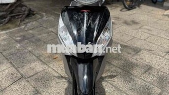 vision bản xám đen