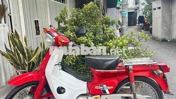 Cub 82/50cc HonDa Nhật BSTP giay tờ Hộ Lệ