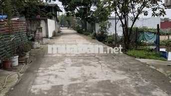 Bán gấp Đất Đại Áng ô tô ngủ trong đất ,ngõ thông ,giá đầu tư 5.6 tỷ