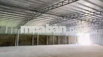 Cần cho thuê gấp kho ở Phạm Hữu Lầu diện tích 630m2 đường xe cont