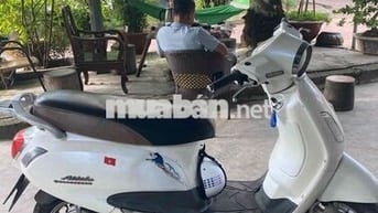 CẦN BÁN XE ATTILA
