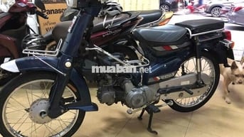 cub 70 đời 89 ngay chủ