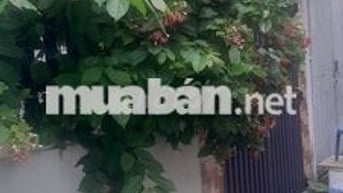 Cho Thuê Nhà Nguyên Căn  4 phòng ngủ, gần Go Dĩ An, Ql1k, Thủ Đức