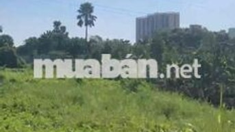 Lô đất lớn gần 3000m2, 2072m2 Thổ cư, 916m2 Đất lúa.