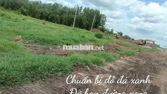 Đất thổ cư Thủ Thừa Long An cũ