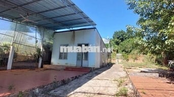 Bán đất tặng nhà cấp 4 ngay trung tâm p2