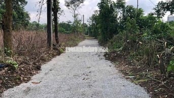 Bán đất nghỉ dưỡng 3000m2 chỉ 450tr/1 sào. View hồ mát mẽ quanh năm