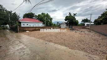 359m2/240m thổ cư.2 mặt tiền xã phú cát.quốc oai