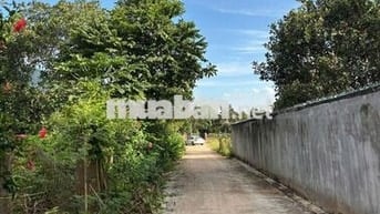 Chỉ 680Tr có ngay đất Thổ cư sổ riêng khu vực Núi Chứa Chan Đồng Nai