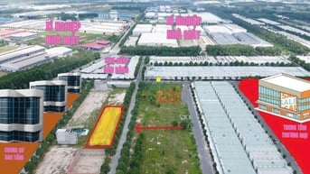 Bán đất Bàu Bàng đường D16 Chợ Đêm TP HCM chỉ 1 tỉ 650 sở hữu 150m