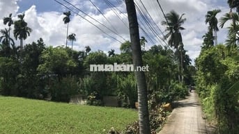 Chính chủ đất Nhị Bình 300m2, thổ cư, cách mặt tiền Bùi Công Trừng 50m