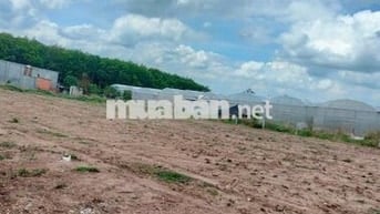 Bấn đất sào TPHCM mới, 1706,5m2, đúng giá 430 triệu.