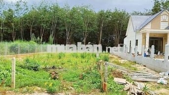 Đất đường nhựa gần nhà xuởng 225m² giá 395tr