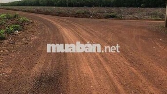 Em đang còn 1 cặp liền kề 400m2 có 100m thổ cư giá 490tr
